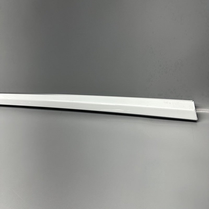 1080684-00-H TESLA MODEL 3 DOOR WINDOW BELT 2017 2018 2019 2020 2021 2022 OEM 1080684-00-H