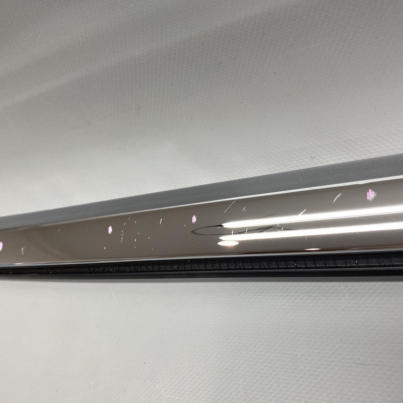 1095786-00-C TESLA MODEL S DOOR WINDOW MOLDING LEFT FRONT 2012-2020 OEM 1095786