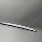 TESLA MODEL X DOOR WINDOW MOLDING RIGHT REAR 2016 2017 2018 2019 2020 