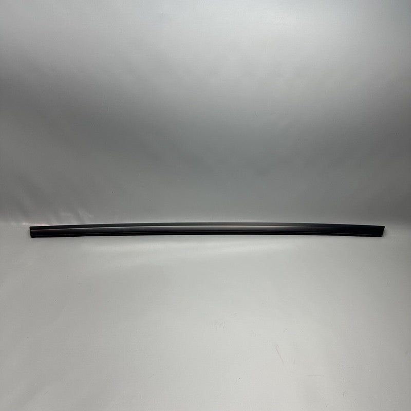 TESLA MODEL Y DOOR WINDOW BELT RIGHT REAR 2020 2021 2022 2023 OEM 