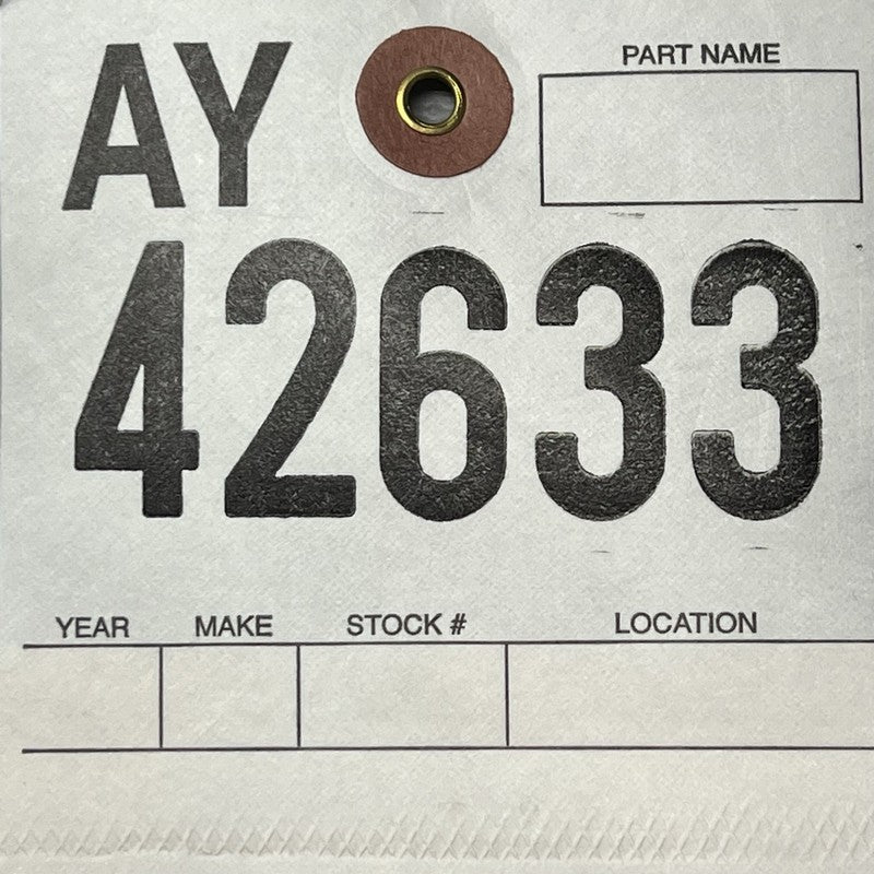 MODEL 3 TESLA MODEL 3 DOOR LEFT REAR 2024 2025 OEM DAMAGED 