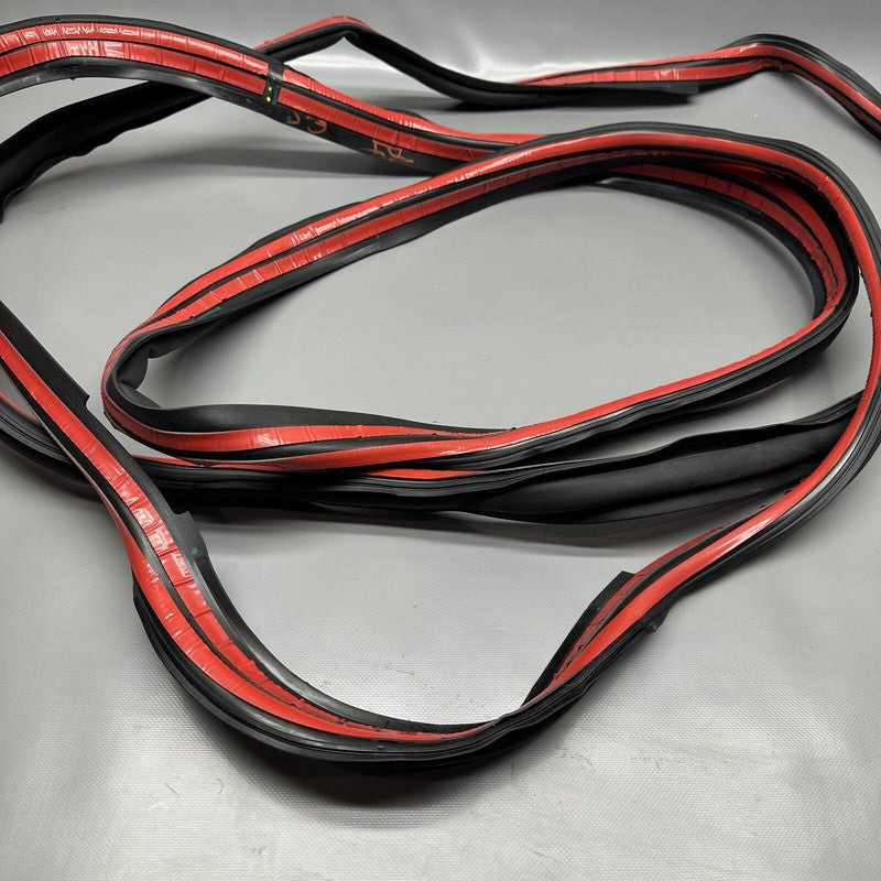 1032469-00-E TESLA MODEL X PRIMARY DOOR SEAL LEFT REAR 2016 17 18 19 2020 OEM 1032469-00-E