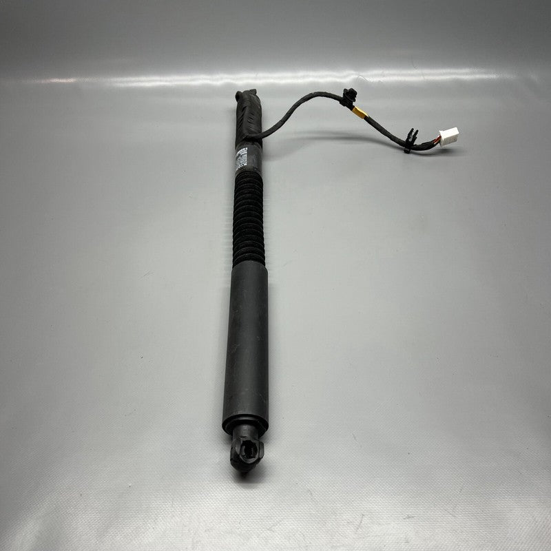 1063440-01-F TESLA MODEL X DOOR STRUT SHOCK REAR 2016 2017 2018 2019 20 2021 OEM 1063440-01-F