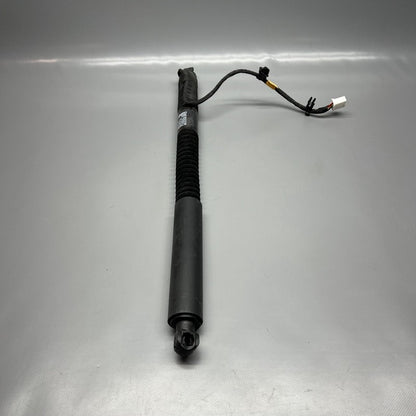 1063440-01-F TESLA MODEL X DOOR STRUT SHOCK REAR 2016 2017 2018 2019 20 2021 OEM 1063440-01-F