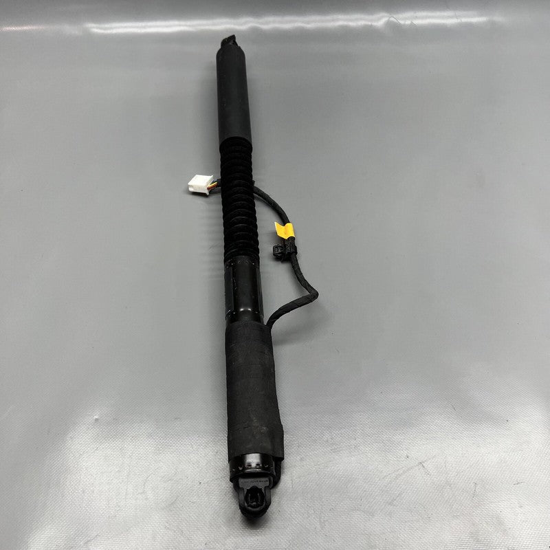 1063440-01-F TESLA MODEL X DOOR STRUT SHOCK REAR 2016 2017 2018 2019 20 2021 OEM 1063440-01-F