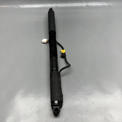 1063440-01-F TESLA MODEL X DOOR STRUT SHOCK REAR 2016 2017 2018 2019 20 2021 OEM 1063440-01-F