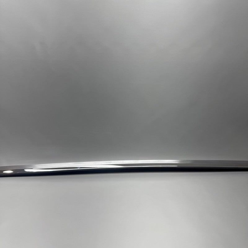 TESLA MODEL X DOOR WINDOW MOLDING LEFT FRONT 2016 17 18 19 2020 OEM 10