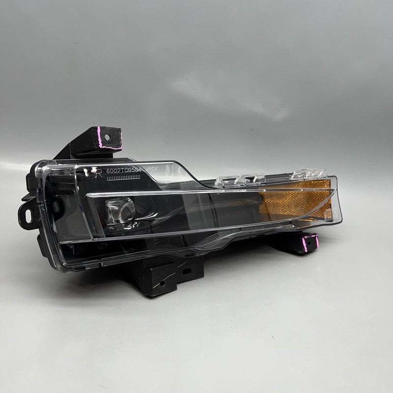 1077392-00-F TESLA MODEL 3 FOG LIGHT RIGHT PASSENGER 2017 18 19 20 21 2022 OEM 1077392-00-F