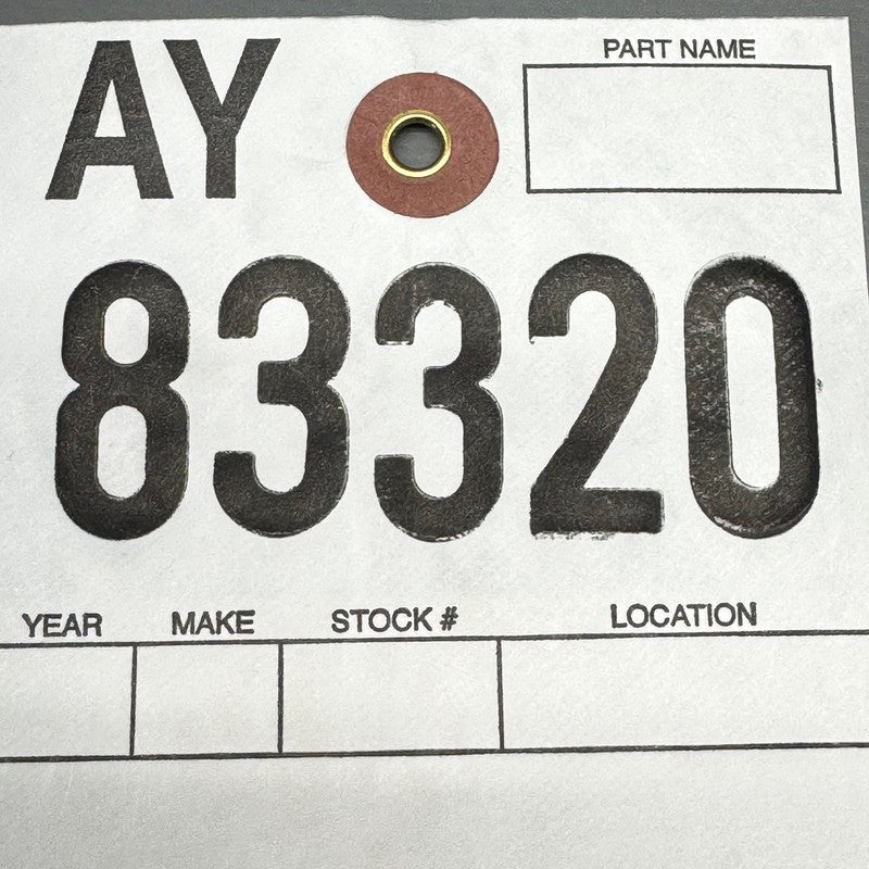 1092573-00-K TESLA MODEL 3 DOME OVERHEAD CONSULE FRONT 2017 2018 2019 2020 2021 OEM 