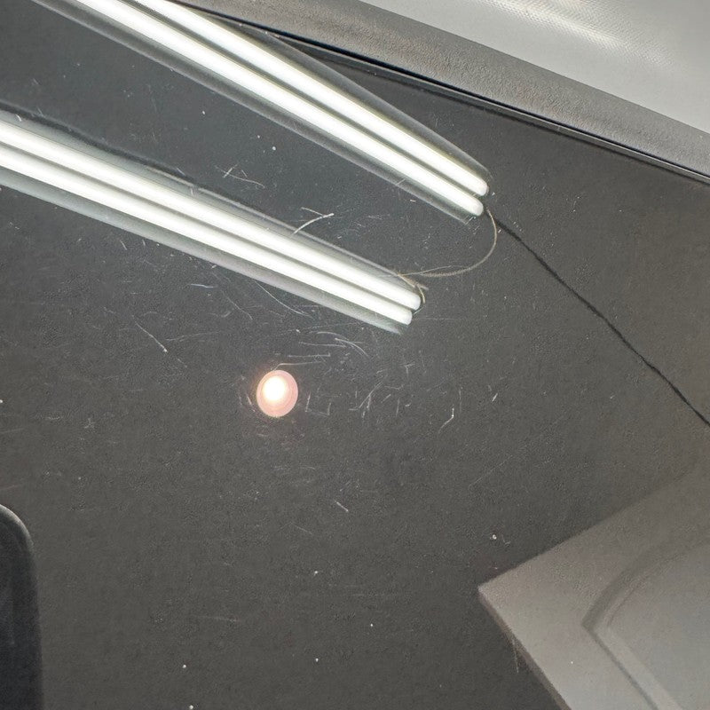 TESLA MODEL 3 B-PILLAR APPLIQUE GLASS TRIM LEFT 2024 2025 2026 OEM 171