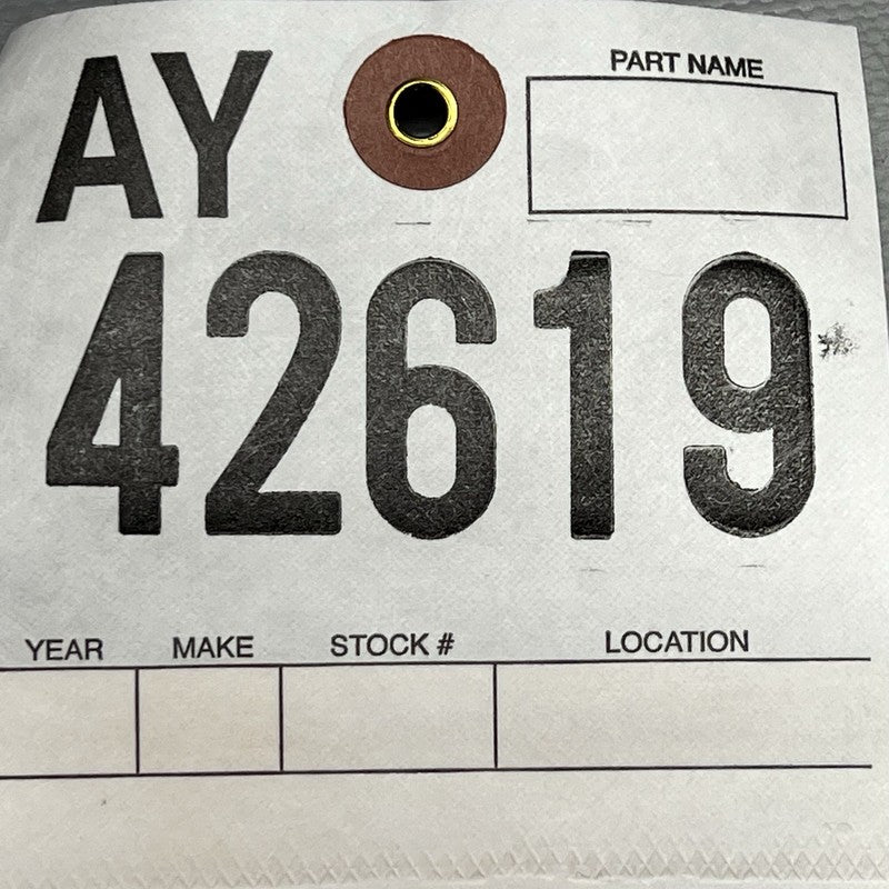 MODEL 3 TESLA MODEL 3 DOOR PANEL LEFT REAR 2018 2019 2020 2021 2022 OEM 