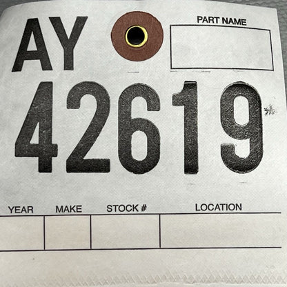 MODEL 3 TESLA MODEL 3 DOOR PANEL LEFT REAR 2018 2019 2020 2021 2022 OEM 