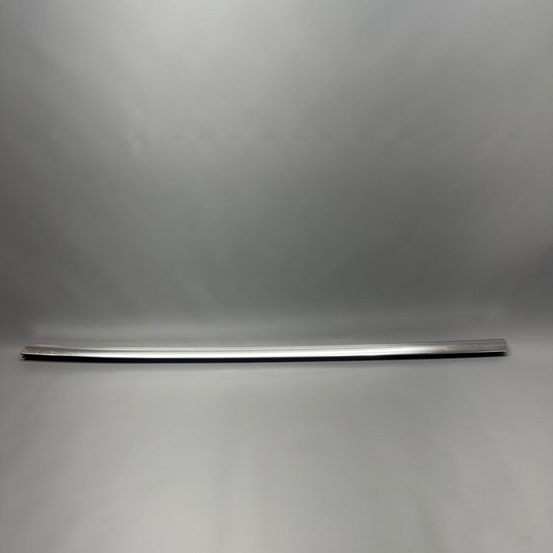 TESLA MODEL 3 DOOR WINDOW MOLDING LEFT FRONT 2017 18 19 20 21 2022 108