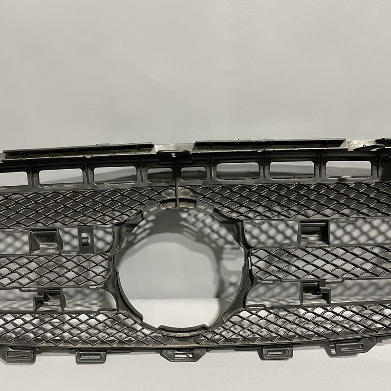 A2138880123 MERCEDES BENZ E300 GRILLE MESH A2138880123 2016 2017 2018 E400 OEM
