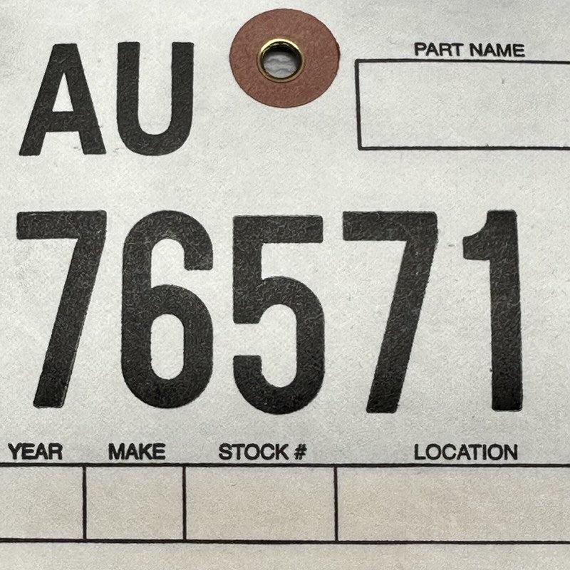 TESLA MODEL Y DOOR WINDOW BELT RIGHT REAR 2020 2021 2022 2023 OEM 