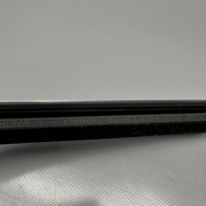1080684-00-H TESLA MODEL 3 DOOR WINDOW BELT 2017 2018 2019 2020 2021 2022 OEM 1080684-00-H