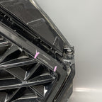 HONDA ACCORD GRILLE 2023 2024 OEM