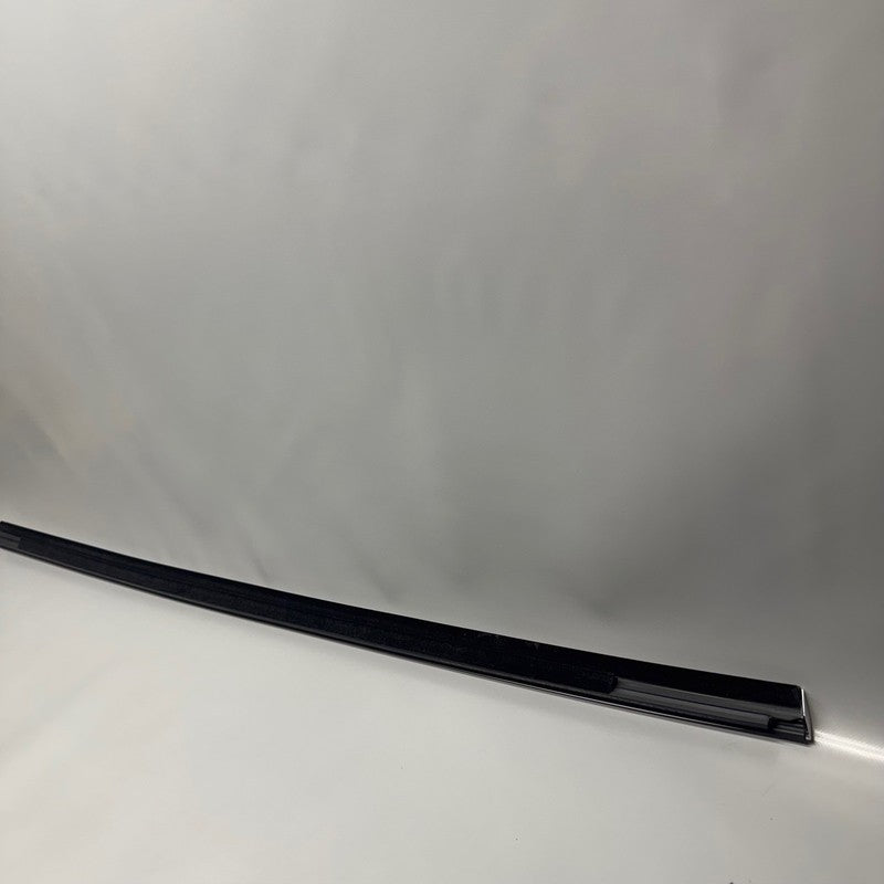 TESLA MODEL 3 DOOR WINDOW MOLDING RIGHT REAR 2017 2018 2019 2020 OEM