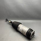 TESLA MODEL X AIR SHOCK STRUT REAR 2016 2017 2018 2019 2020 OEM 102746