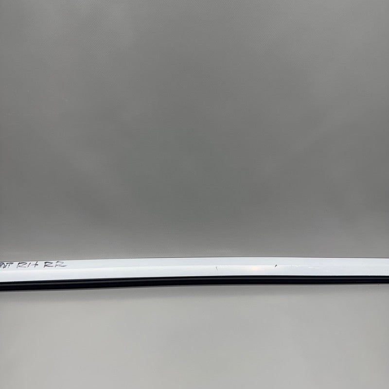 TESLA MODEL Y DOOR MOLDING RIGHT REAR 2020 2021 2022 2023 2024 OEM