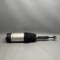 TESLA MODEL X AIR SHOCK STRUT REAR 2016 2017 2018 2019 2020 OEM 102746