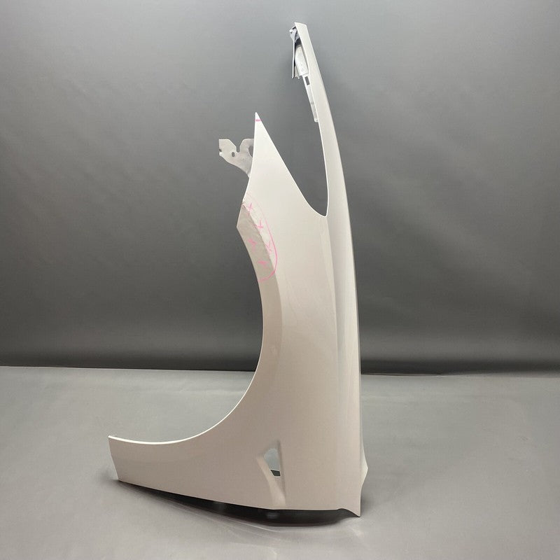 1091094-F TESLA MODEL 3 FENDER LEFT DRIVER 2017 2018 2019 2020 2021 2022 OEM 1091094-F