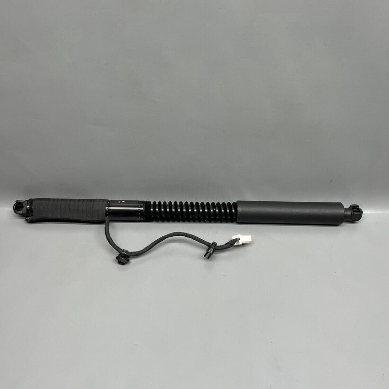 1063440-01-D TESLA MODEL X DOOR SHOCK STRUT REAR 2016 2017 2018 2019 2020 OEM 1063440-01-D