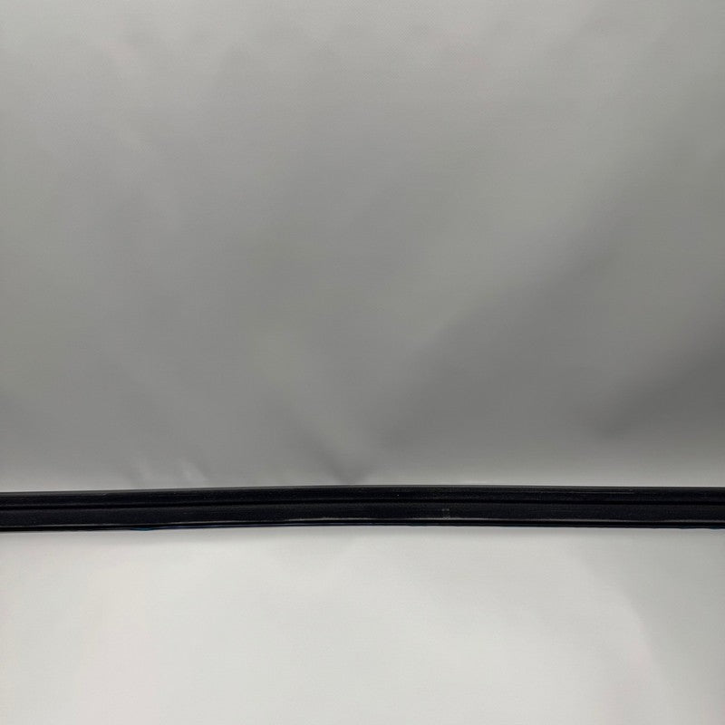 TESLA MODEL X DOOR BELT MOLDING LEFT REAR 2021 2022 2023 2024 OEM 1098