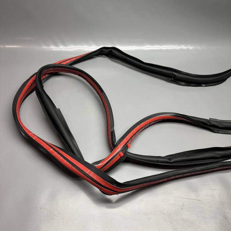 1032469-00-E TESLA MODEL X PRIMARY DOOR SEAL LEFT REAR 2016 17 18 19 2020 OEM 1032469-00-E