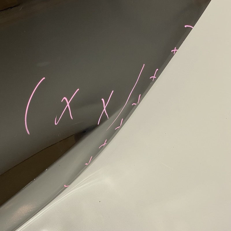 MODEL 3 TESLA MODEL 3 DOOR LEFT REAR 2017 2018 2019 2020 2021 2022 OEM