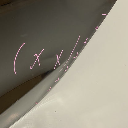 MODEL 3 TESLA MODEL 3 DOOR LEFT REAR 2017 2018 2019 2020 2021 2022 OEM