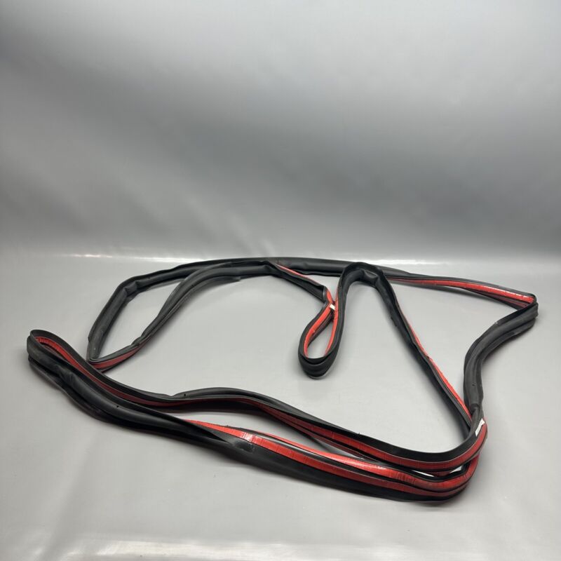 1032469-75-C TESLA MODEL X PRIMARY DOOR SEAL LEFT REAR 2016 17 18 19 2020 OEM 1032469-75-C
