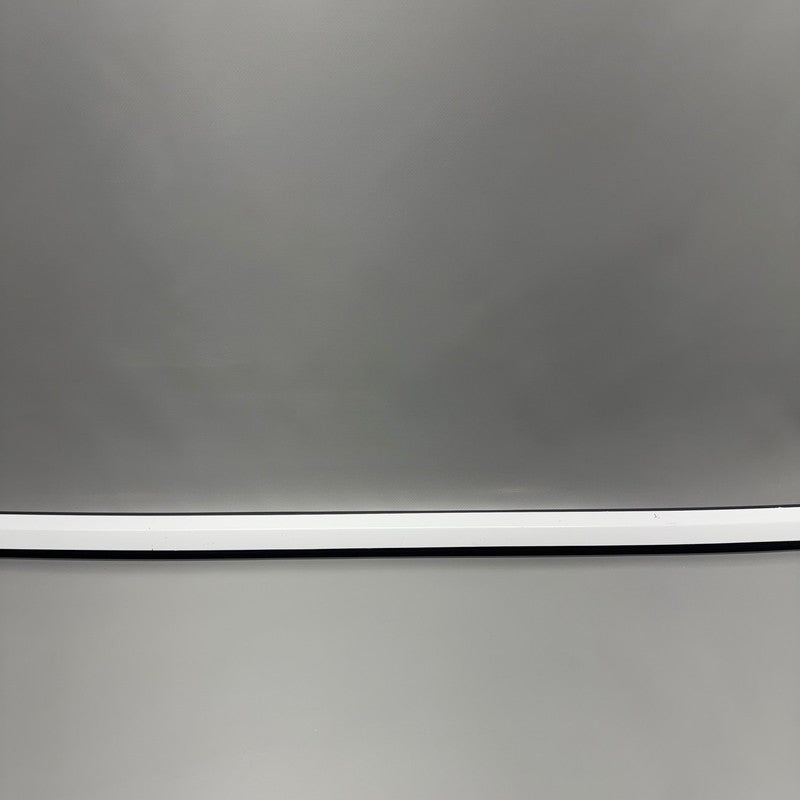TESLA MODEL 3 DOOR WINDOW MOLDING LEFT REAR 2017 2018 2019 2020 OEM 10