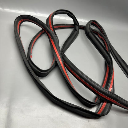 1032469-00-C TESLA MODEL X PRIMARY DOOR SEAL LEFT REAR 2016 17 18 19 2020 OEM 1032469-00-C