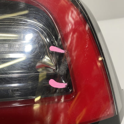 MODEL 3 TESLA MODEL 3 TAIL LIGHT RIGHT PASSENGER SIDE 2017 2018 2019 2020 OEM