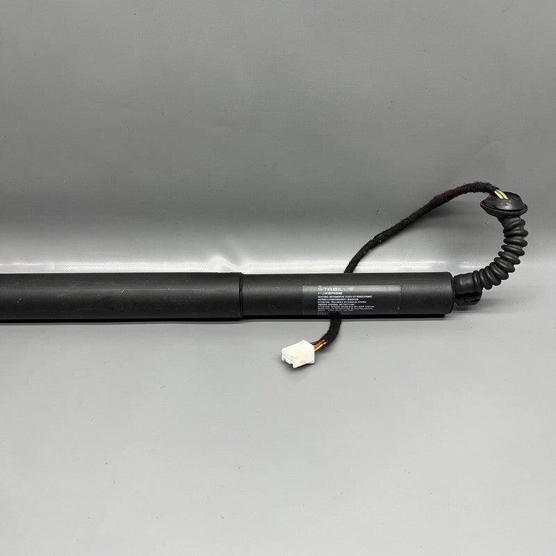 1065664-00-A TESLA MODEL X LIFT GATE SHOCK STRUT LEFT 2016 2017 2018 19 2020 OEM 1065664-00-A