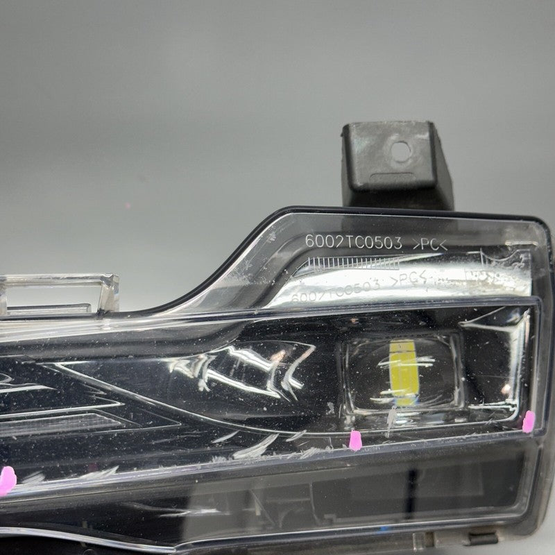 1077391-00-F TESLA MODEL 3 FOG LIGHT LEFT DRIVER 2017 18 19 20 21 22 2023 3 PIN 1077391-00-F