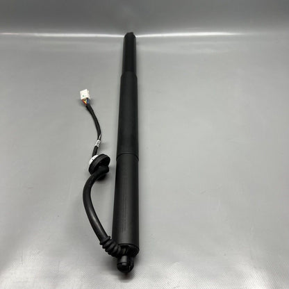1500601-00-B TESLA MODEL Y GATE SHOCK STRUT LEFT 2020 2021 2022 2023 2024 OEM 1500601-00-B