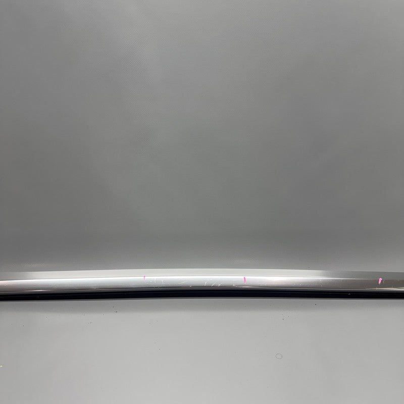 TESLA MODEL 3 DOOR WINDOW MOLDING LEFT REAR 2017 2018 2019 2020 OEM 10
