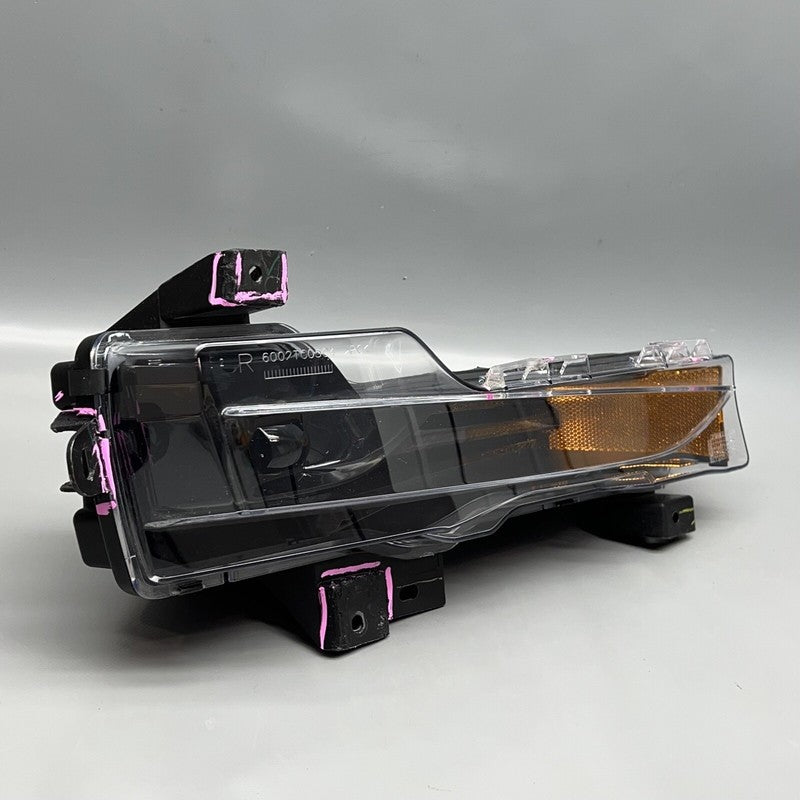 1077390-00-F TESLA MODEL 3 FOG LIGHT RIGHT PASSENGER 2017 18 19 20 21 2022 2 PIN 1077390-00-F