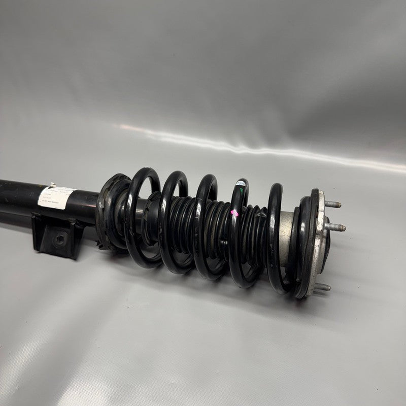 TESLA MODEL 3 SHOCK STRUT LEFT FRONT 2017 2018 2019 2020 2021 OEM RWD