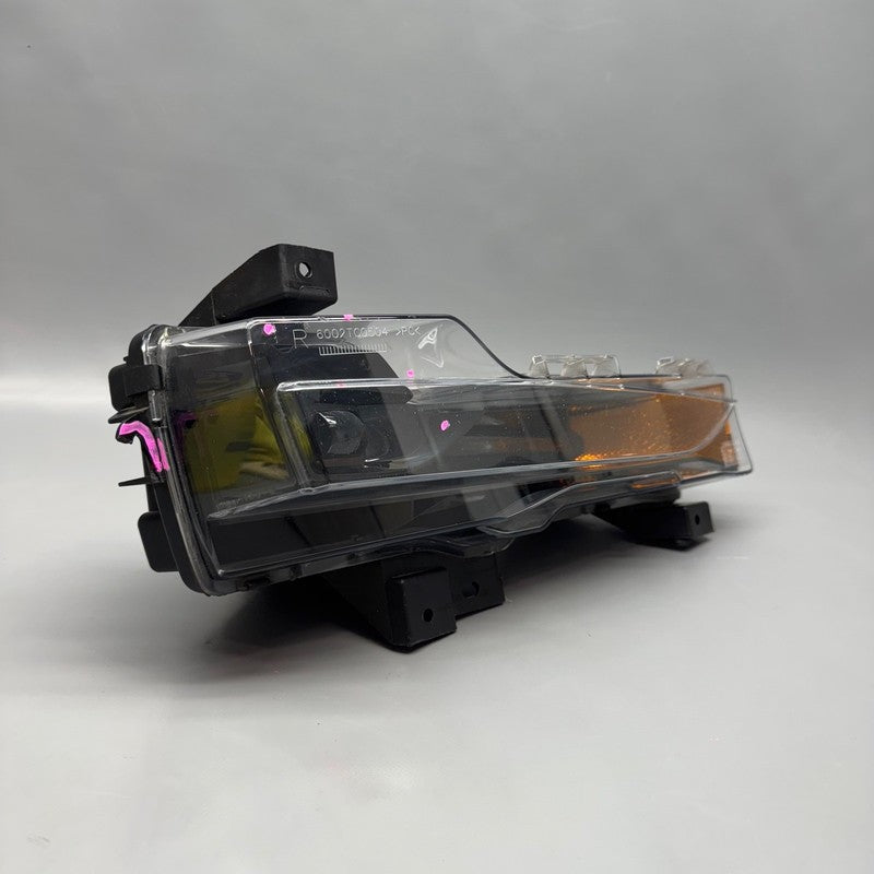 1077390-00-F TESLA MODEL 3 FOG LIGHT RIGHT PASSENGER 2017 2018 2019 2020 2021 2022 2023 OEM