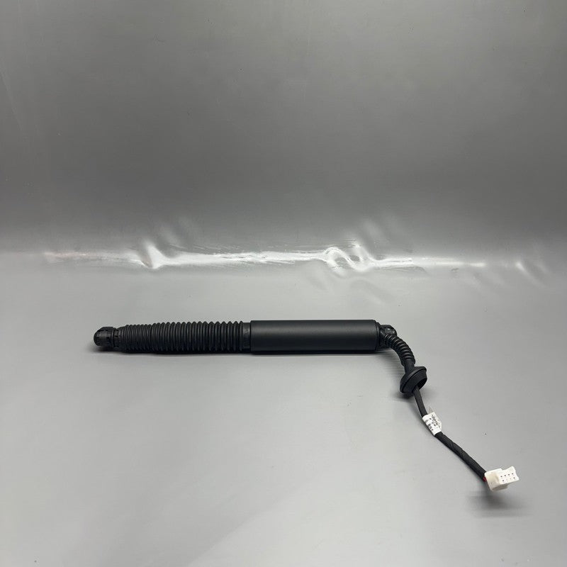 TESLA MODEL 3 TRUNK STRUT LEFT 2017 2018 2019 2020 2021 2022 2023 OEM