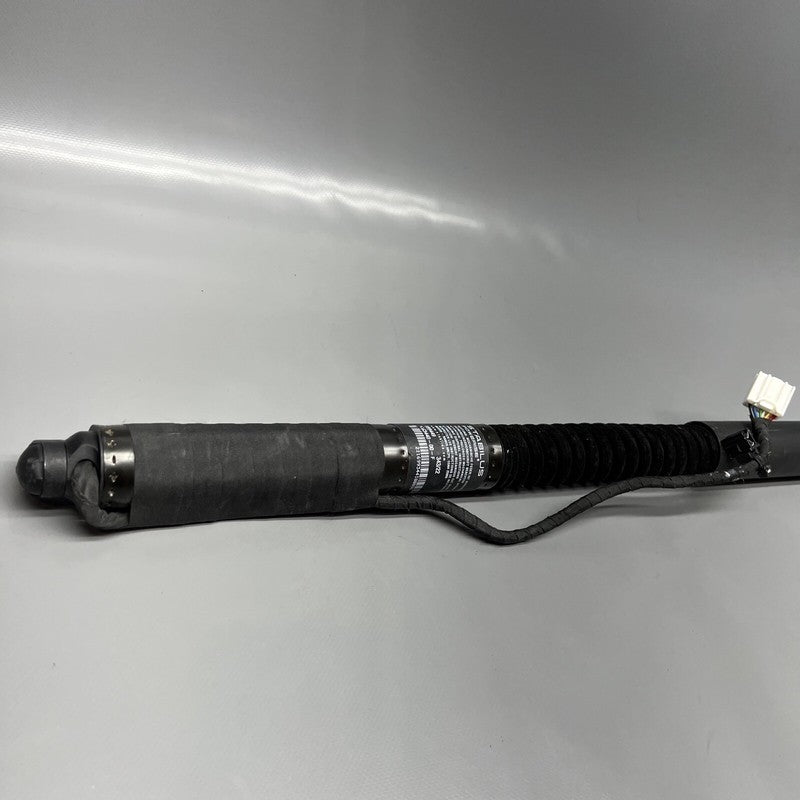 1063440-01-F TESLA MODEL X DOOR STRUT SHOCK REAR 2016 2017 2018 2019 20 2021 OEM 1063440-01-F