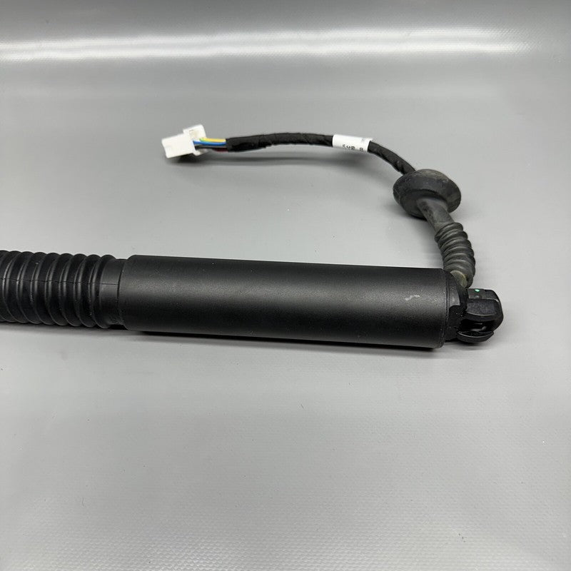 1551488-00-C TESLA MODEL 3 LIFTGATE STRUT LEFT REAR 2017 2018 2019 2020 2021 2022 2023 OEM