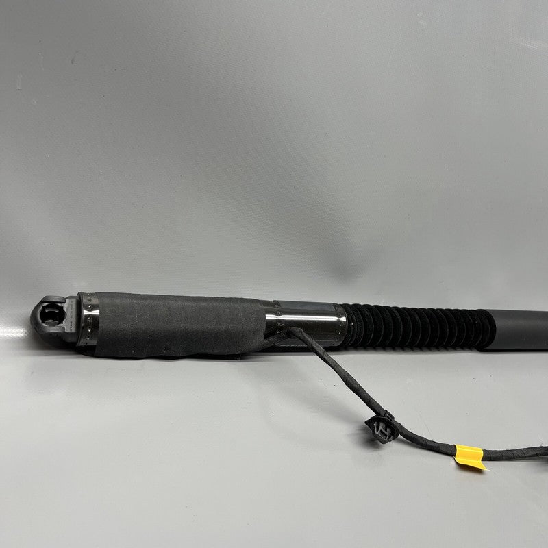 1063440-01-F TESLA MODEL X DOOR STRUT SHOCK REAR 2016 2017 2018 2019 20 2021 OEM 1063440-01-F