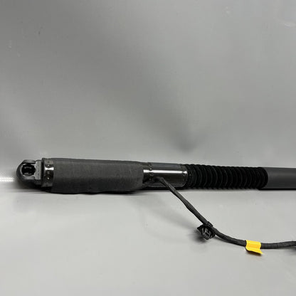 1063440-01-F TESLA MODEL X DOOR STRUT SHOCK REAR 2016 2017 2018 2019 20 2021 OEM 1063440-01-F
