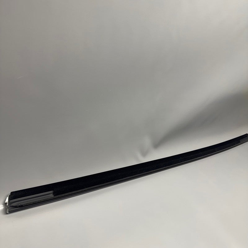 TESLA MODEL 3 DOOR WINDOW MOLDING RIGHT REAR 2017 2018 2019 2020 OEM