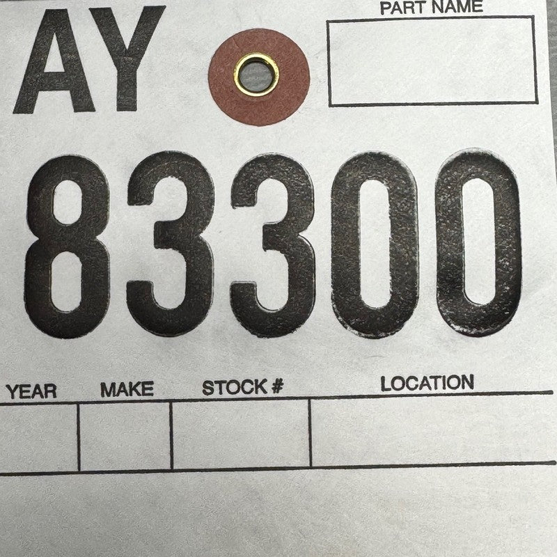 1500604-00-B TESLA MODEL 3 Y LIFTGSTE CINCH LATCH 2017 2018 2019 2020 2021 2022 2023 OEM