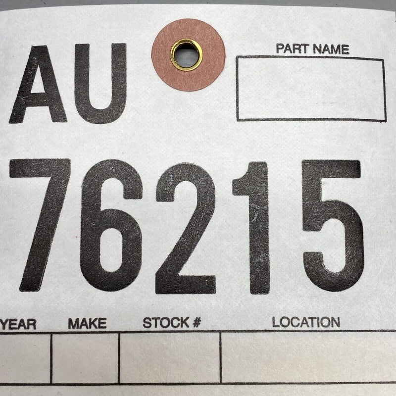 1111207C TESLA MODEL 3 TAIL LIGHT POCKET PANEL RIGHT 2017 2018 2019 2020 OEM 1111207C